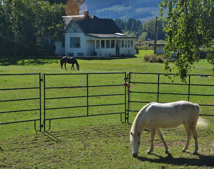 farm inland